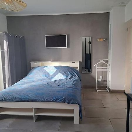 Studio Dans Maison Avec Jardin Et Balcon, Au Calme Serezin-du-Rhone Exterior foto