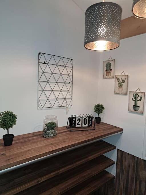 Studio Dans Maison Avec Jardin Et Balcon, Au Calme Serezin-du-Rhone Exterior foto